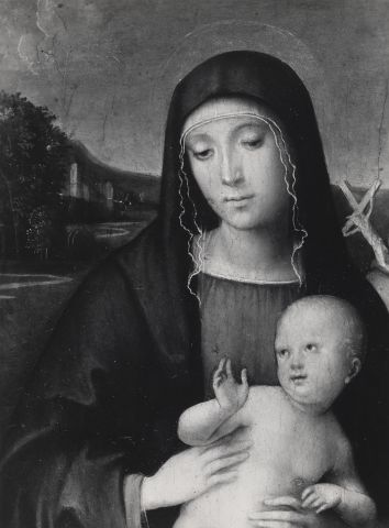 A. Villani e Figli — Francesco Francia. Madonna col Bambino e S. Francesco (Part.). Bologna - Pinacoteca — particolare